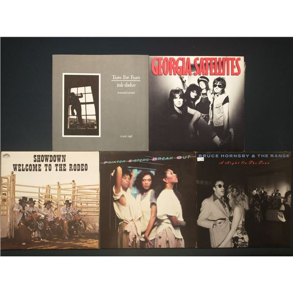 5 VINYL RECORD LOT – ROCK & POP / TEARS FOR FEARS, POINTER SISTERS / 1980s / NEW WAVE & MAI