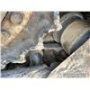 Image 50 : 2020 TIGERCAT 880D SHORT WOOD LOG LOADER