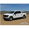 Image 1 : 2024 FORD F150 XL CREW CAB PICKUP