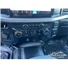 Image 22 : 2024 FORD F150 XL CREW CAB PICKUP
