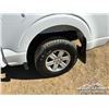 Image 41 : 2024 FORD F150 XL CREW CAB PICKUP