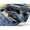 Image 50 : 2024 FORD F150 XL CREW CAB PICKUP