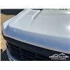 Image 54 : 2024 FORD F150 XL CREW CAB PICKUP