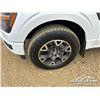 Image 39 : 2024 FORD F150 STX CREW CAB PICKUP