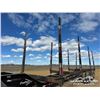 Image 14 : 2021 FREFLYT 53 FT. TRIDEM LOG TRAILER