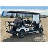 Image 10 : SDLANCH 6 SEAT ELECTRIC GOLF CART