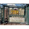 Image 7 : CATTLE SQUEEZE & PALPATION CAGE