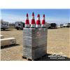 Image 2 : QTY. OF TRAFFIC CONES
