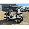 Image 9 : SDLANCH 4 SEAT ELECTRIC GOLF CART