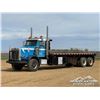 Image 1 : 1993 PETERBILT 357 T/A BED TRUCK
