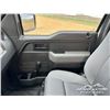 Image 10 : 2013 FORD F150 XL PICKUP