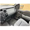 Image 11 : 2013 FORD F150 XL PICKUP