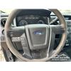 Image 16 : 2013 FORD F150 XL PICKUP