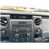 Image 20 : 2013 FORD F150 XL PICKUP