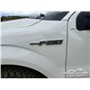 Image 25 : 2013 FORD F150 XL PICKUP