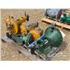 Image 1 : (5) CHEMICAL INJECTION PUMPS