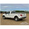 Image 4 : 2011 FORD F150 XL SINGLE CAB PICKUP
