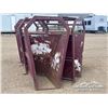 Image 6 : CATTLE SORTING ALLEY