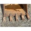 Image 11 : WBM 36 IN. TOOTH BUCKET