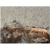 Image 12 : WBM 60 IN. CLEANOUT BUCKET