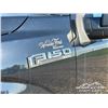 Image 49 : 2016 FORD F150 XLT FX4 CREW CAB PICKUP