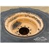 Image 5 : (3) GRADER TIRES WITH RIMS