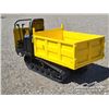 Image 4 : CD25 CRAWLER DUMPER