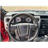 Image 13 : 2010 FORD F150 FX4 CREW CAB PICKUP
