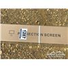 Image 3 : PROJECTION SCREEN