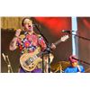 Image 21 : Modest Mouse | Isaac Brock Stage-Used Telefunken M80 Microphone (circa 2018)