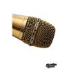 Image 8 : Modest Mouse | Isaac Brock Stage-Used Telefunken M80 Microphone (circa 2018)