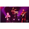 Image 25 : Erasure | Vince Clarke Stage-Worn & Owned Custom Made "Sherry's London" Jacket (2011 Tours)