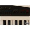 Image 20 : Black Eyed Peas | will.i.am & Printz Board Stage-Played Roland AX-Synth Keytar (2009-2011)