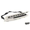 Image 3 : Black Eyed Peas | will.i.am & Printz Board Stage-Played Roland AX-Synth Keytar (2009-2011)