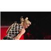 Image 57 : No Doubt | Gwen Stefani Stage-Worn, Photo & Screen-Matched Custom Swarovski Crystal Costume (2009)