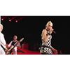 Image 13 : No Doubt | Gwen Stefani Tour-Used Costume Elements (Swarovski Crystals/Swatch, Monitor Pack) (2009)