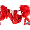 Image 33 : Courtney Love | Blender Cover-Worn, Photo-Matched Custom American Flag Costume Collection (2004)