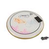 Image 1 : Luscious Jackson | Stage-Used Drumhead Signed by Band (circa 2000s)