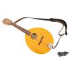 Image 10 : The Goo Goo Dolls | Tim Pierce "Iris" Studio-Used, Photo-Matched Flatiron Mandolin (1998)