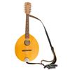 Image 11 : The Goo Goo Dolls | Tim Pierce "Iris" Studio-Used, Photo-Matched Flatiron Mandolin (1998)