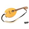 Image 12 : The Goo Goo Dolls | Tim Pierce "Iris" Studio-Used, Photo-Matched Flatiron Mandolin (1998)