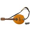 Image 18 : The Goo Goo Dolls | Tim Pierce "Iris" Studio-Used, Photo-Matched Flatiron Mandolin (1998)