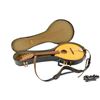 Image 31 : The Goo Goo Dolls | Tim Pierce "Iris" Studio-Used, Photo-Matched Flatiron Mandolin (1998)