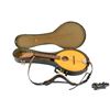 Image 5 : The Goo Goo Dolls | Tim Pierce "Iris" Studio-Used, Photo-Matched Flatiron Mandolin (1998)