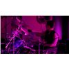 Image 78 : Depeche Mode | Alan Wilder "Devotional Tour" Stage-Played Noble & Cooley Snare Drum (1993-94)