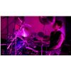 Image 79 : Depeche Mode | Alan Wilder "Devotional Tour" Stage-Played Noble & Cooley Snare Drum (1993-94)