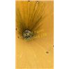 Image 4 : BEZZECCHI SPT 550 FERTILIZER SPREADER 3PT