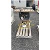 Image 1 : TECHOMASTER TABLE SAW