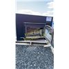Image 2 : FIRE PLACE INSERT