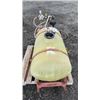 Image 5 : PORTABLE SPRAYER - 5 HP BRIGGS & STRATTON MOTOR